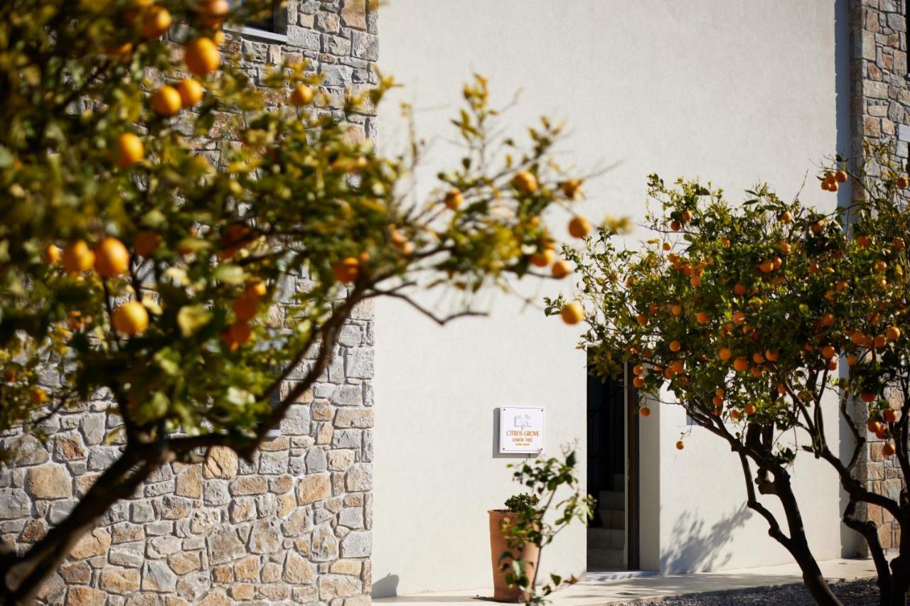Citrus Grove Luxury Villas Σκαλέτα Εξωτερικό φωτογραφία