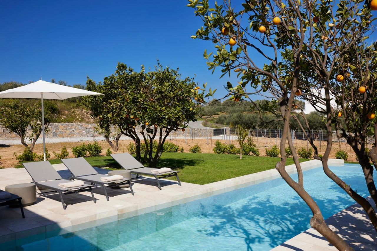 Citrus Grove Luxury Villas Σκαλέτα Εξωτερικό φωτογραφία