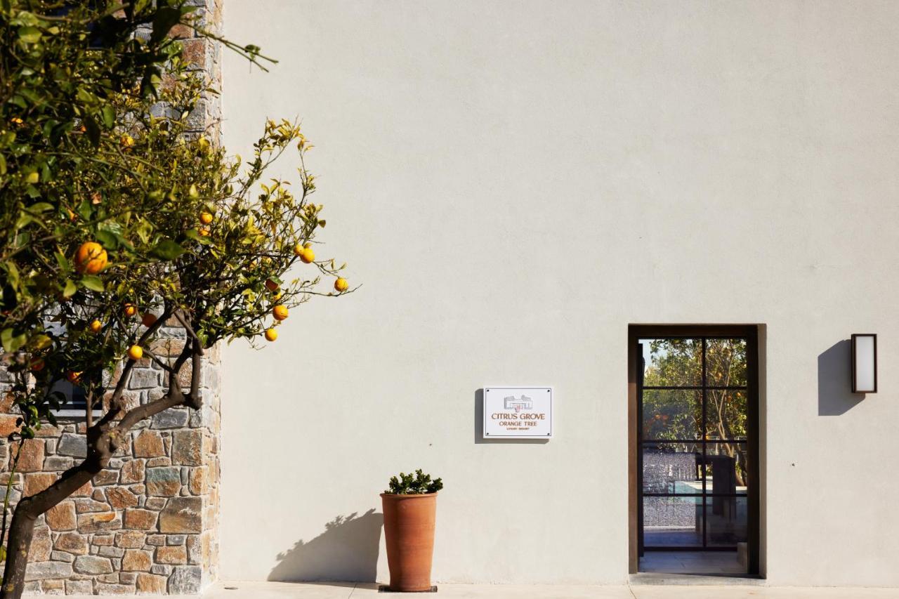 Citrus Grove Luxury Villas Σκαλέτα Εξωτερικό φωτογραφία