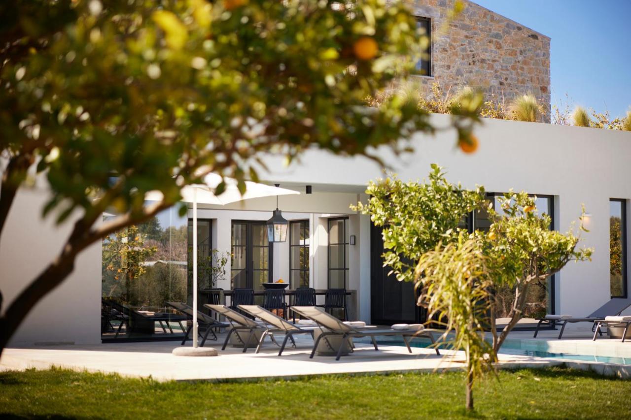Citrus Grove Luxury Villas Σκαλέτα Εξωτερικό φωτογραφία