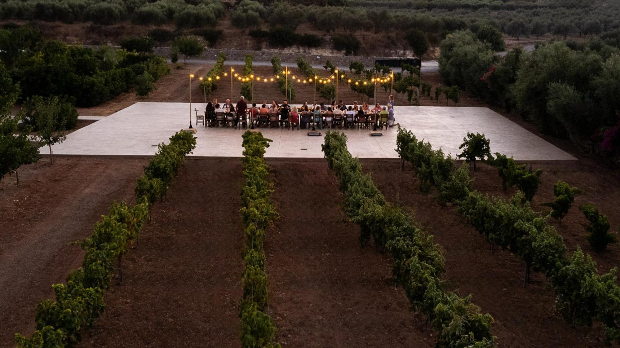 Citrus Grove Luxury Villas Σκαλέτα Εξωτερικό φωτογραφία