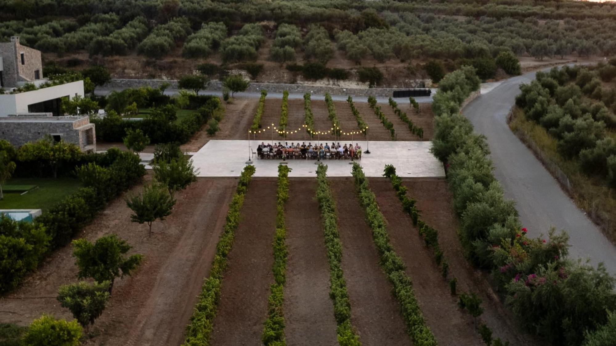 Citrus Grove Luxury Villas Σκαλέτα Εξωτερικό φωτογραφία